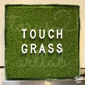 ART CANVAS “TOUCH GRASS” 3D MEME BY TORUS2 ART LAB ACRYLIC ON 6x6 CANVAS BOARD